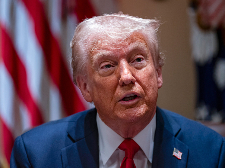 Требование Трампа к Киеву предоставить доступ к редкоземельным элементам получило внутриполитический отклик в США