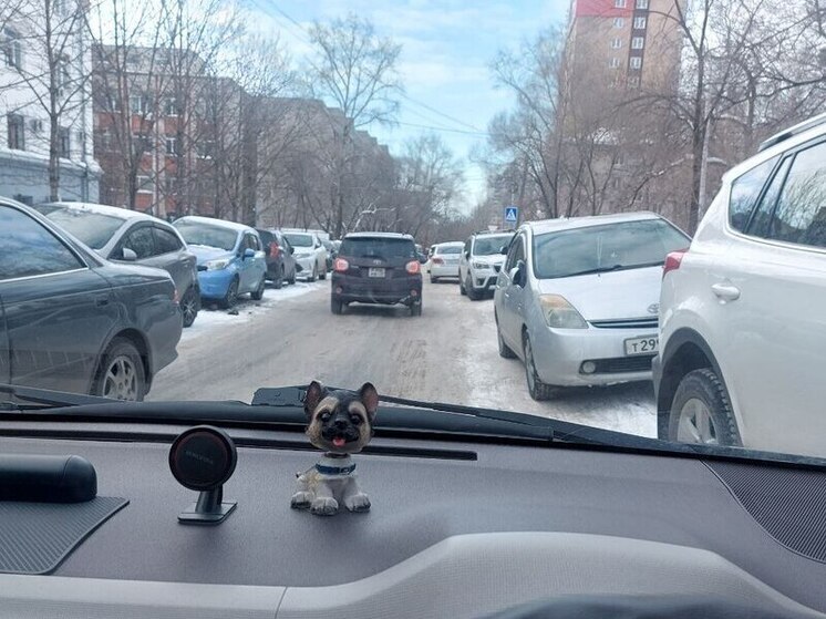 Нам пишут: улицу Яшина в Хабаровске не могут почистить из-за машин студентов