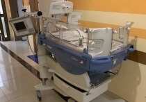 В Северной столице начали реорганизовывать работу женских консультаций и роддомов. Первоначально объединят Перинатальный центр с Александровской больницей. Об этом сообщил главный акушер-гинеколог города Виталий Беженарь на пресс-конференции информационного агентства ТАСС.