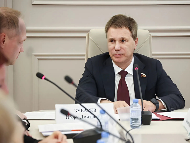 Продление программы материнского капитала поможет поддержать еще около 5 млн семей