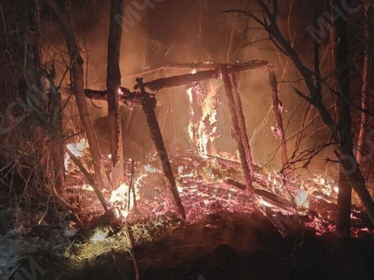Во время пожара в Липецке щенок попал в капкан и был вызволен спасателями