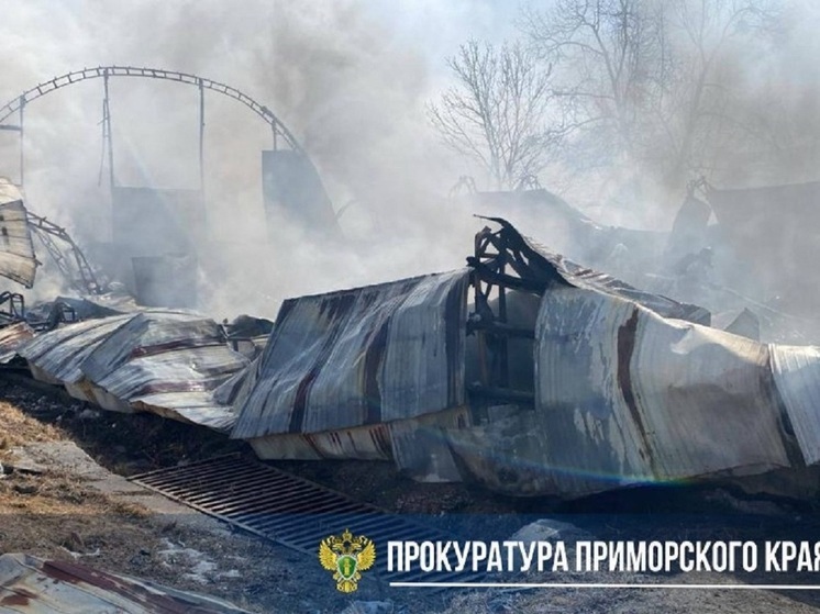 Мощный пожар в районе Весенней ликвидировали огнеборцы МЧС России во Владивостоке