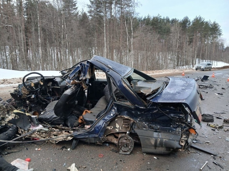 Man Dies in Head-On Collision Near Vytegra