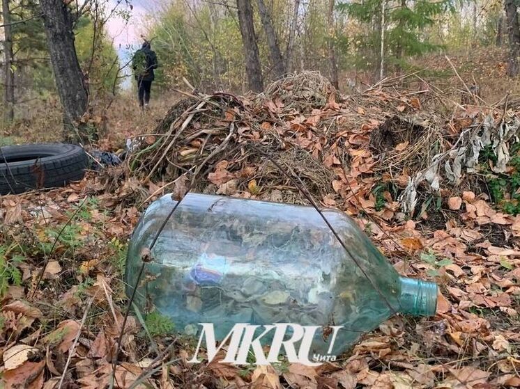 Более 80 литров алкоголя и 16 кг наркотиков изъяли за год в Чите