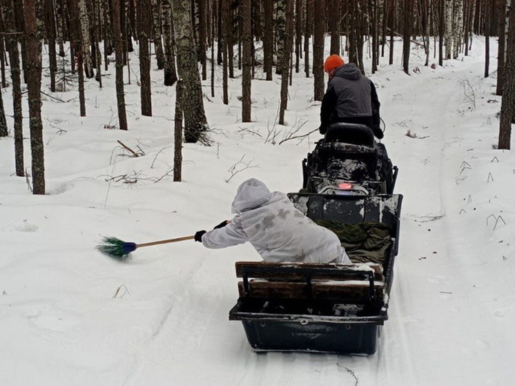 В ходе учета зверей в Марий Эл обследовано 477 маршрутов