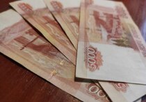 «Период охлаждения» для сделок с недвижимостью будет временно приостанавливать движения банковских средств, вырученных за продажу квартиры или дома. Соответствующий законопроект подготовила заместитель председателя Комитета Госдумы по строительству и жилищно-коммунальному хозяйству Светлана Разворотнева. Об этом рассказала «Парламентская газета».