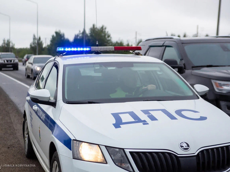 Карельская Госавтоинспекция провела мероприятие "Пешеход"