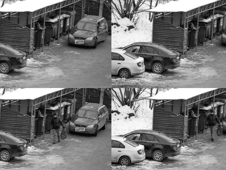 В Воронеже борются с мусором с помощью умных камер