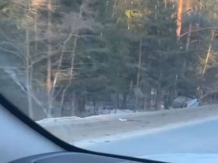 Легковушка улетела в кювет в Дмитровском округе