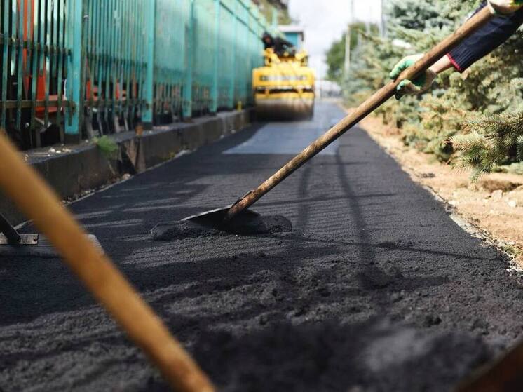 Более 550 «народных троп» в этом году обустроят в Подмосковье