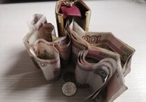 Управляющий партнер компании «Русяев и партнеры» Илья Русяев рассказал россиянам, что поврежденные купюры можно сдать в банк для экспертизы и замены. Юрист отметил, что сдать купюры можно в случае надрывов или сильного износа банкнот. Об этом сообщил NEWS.ru.