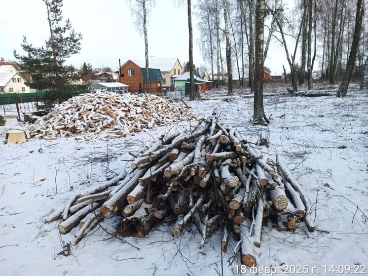 Незаконную рубку леса обнаружили инспекторы в Домодедовском округе