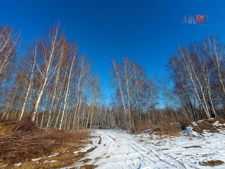 В Калужской области в последний день зимы потеплеет до +4°С