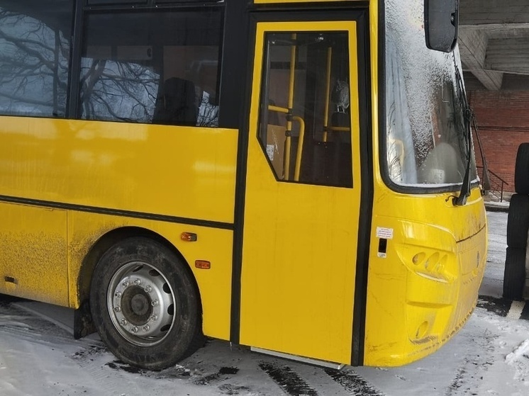 В Петербурге для школ приобрели 16 автобусов российского производства