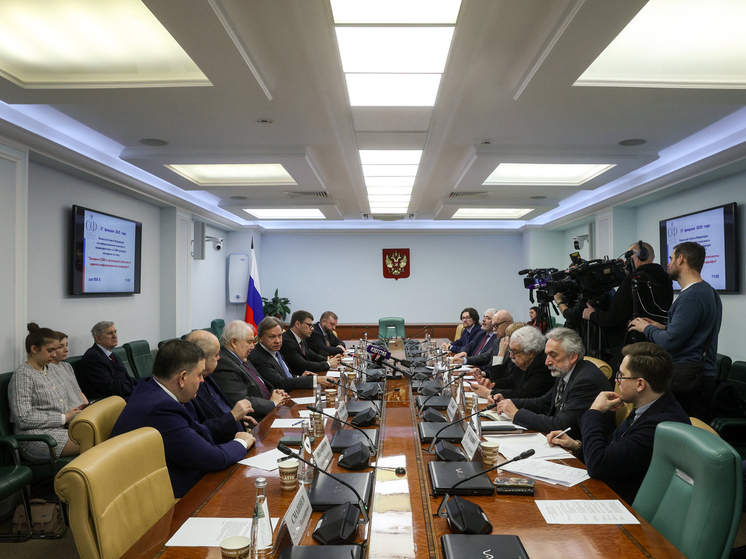 В Совете Федерации обсудили ход информационной войны с Западом: ушедшие социальные платформы уже импортозамещены