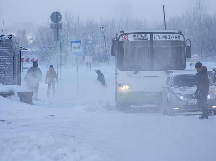 В Новосибирске опубликовали фотографии заснеженного города ко Дню ухода зимы в России 28 февраля