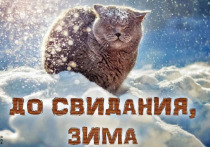 Сегодня, 28 февраля, последний день зимы! "МК в Красноярске" сделал для читателей подборку прикольных, добрых открыток, которые поднимут настроение, ведь совсем скоро наступит весна!
Выберите подходящую открытку, скачайте ее бесплатно и отправьте близким людям