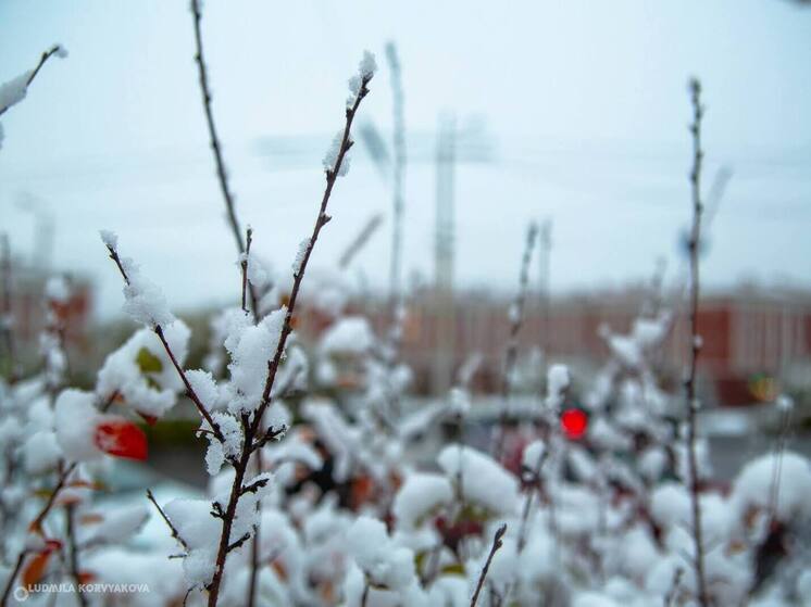 Синоптики карельского Гидрометцентра рассказали о погоде на пятницу, 28 февраля.
