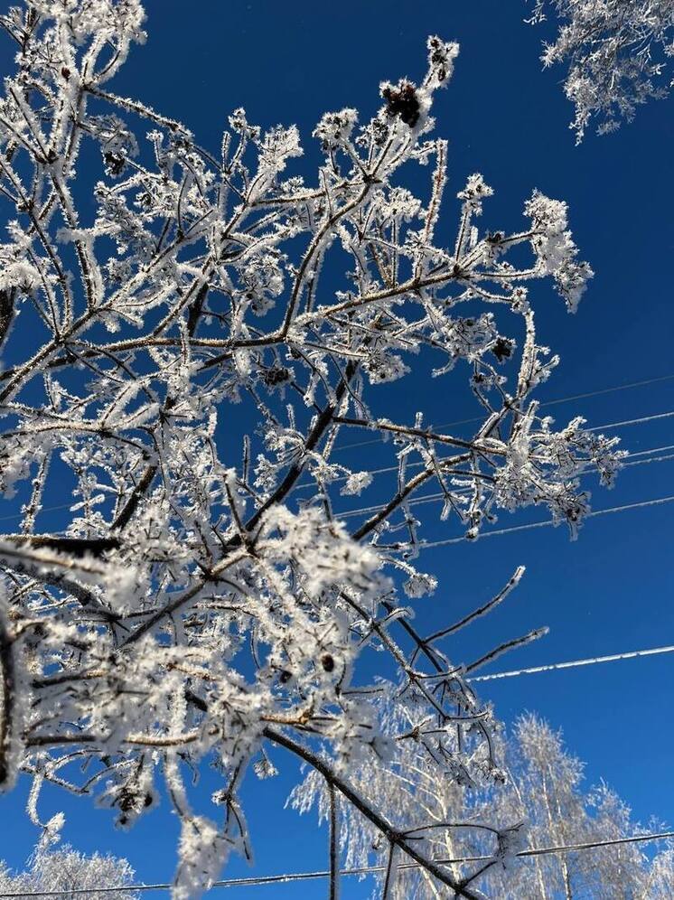 Пасмурно и около 0°C будет в Нижнем Новгороде в последний день зимы