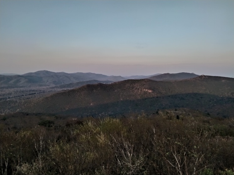 Приморцы раскритиковали «земельное чудо» для многодетных: «Тайга вместо дорог»