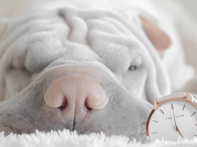 Калужанам советуют не напрягаться в первую половину дня