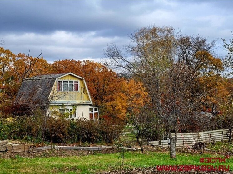 Приморье упростит процедуру получения земли для участников СВО и их семей