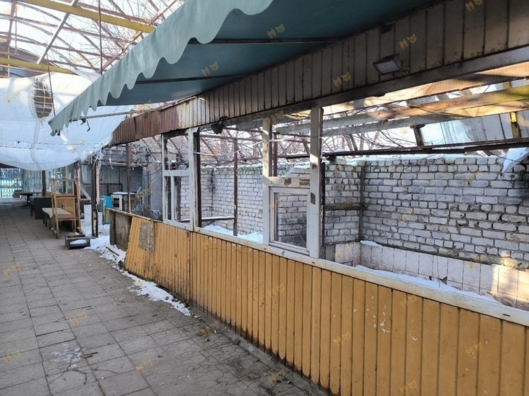 Клычков решит судьбу рынка на улице Карачевской в Орле