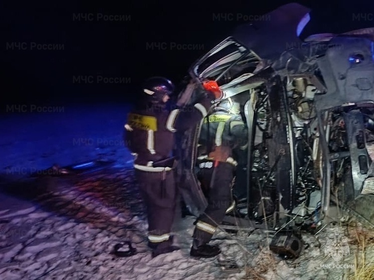 Спасатели помогли попавшему в ДТП под Орлом водителю