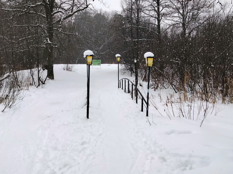 Первые выходные марта в Марий Эл будут теплыми
