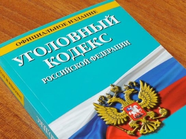 Житель Онеги осужден за нападение на иностранца