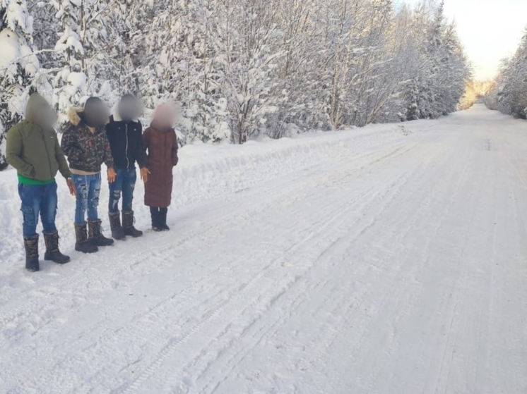 Группа иностранных граждан пыталась незаконно пересечь границы РФ в Псковской области
