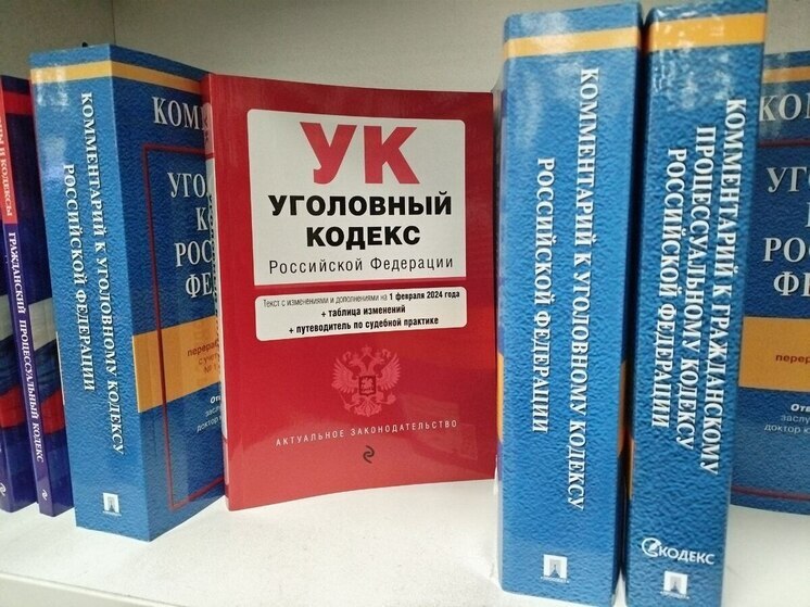 Во избежание побега северянку с порошками заключили под стражу