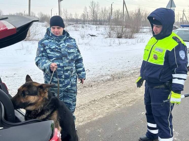 В Самарской области полиция проводит масштабные профилактические мероприятия