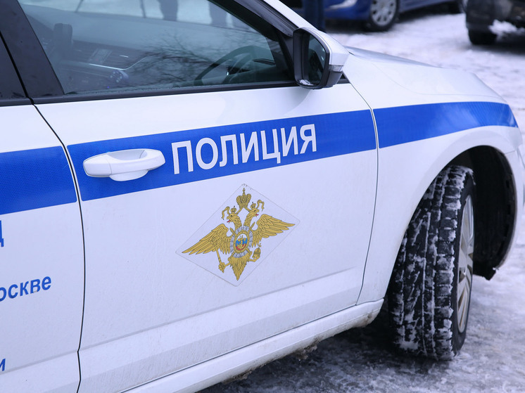 В подмосковной Коломне при задержании ранен полицейский