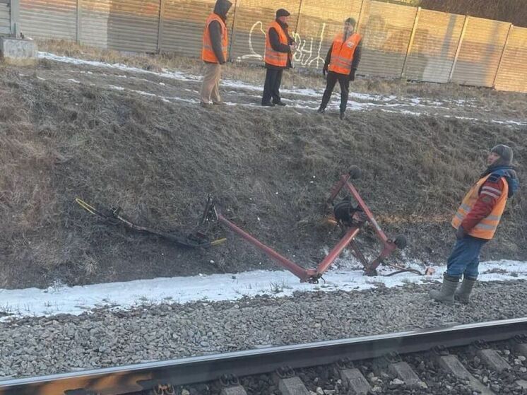 Обрыв токоприемника стал причиной утреннего сбоя на МЦД-2