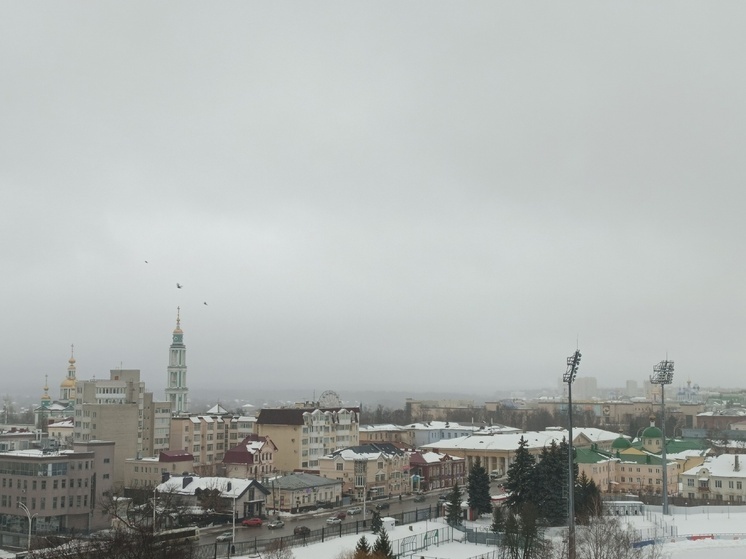 В первые дни весны в Тамбове будет пасмурно, но тепло