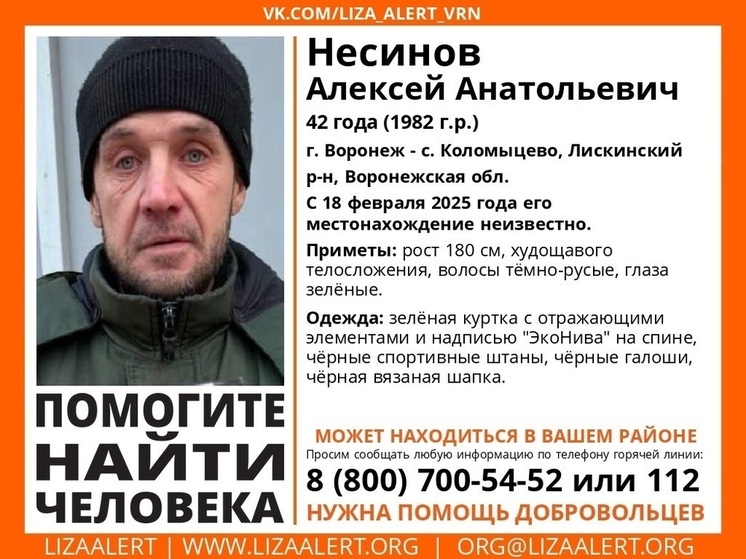 Поисковый отряд «ЛизаАлерт» объявил о начале поисков пропавшего воронежца