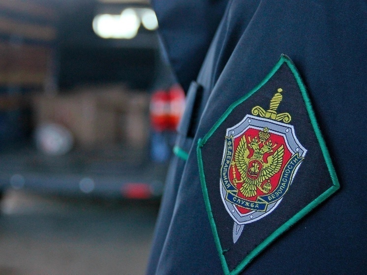 УФСБ России по Смоленской области задержало диверсанта
