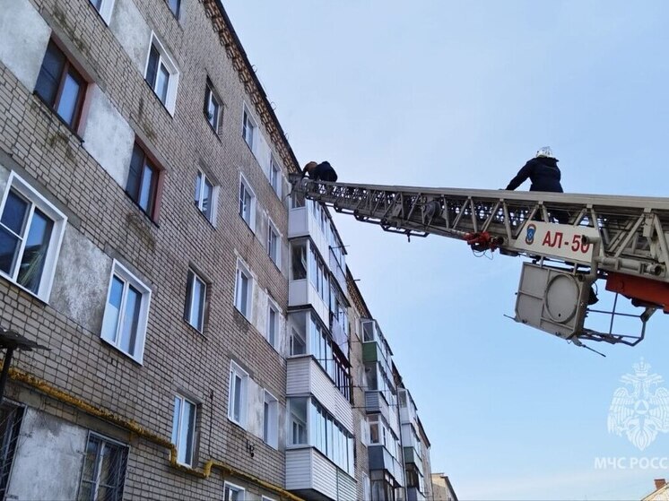 Пожарные в Кинешме развернули операцию по спасению из дымовой ловушки мужчины и грудничка