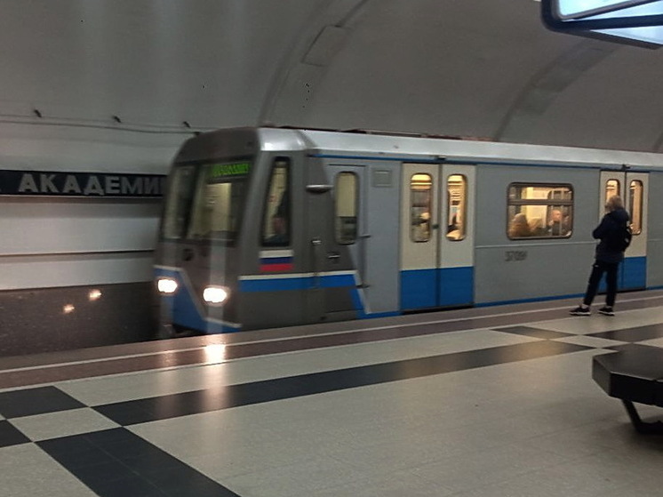 В Москве 11-летний мальчик упал под поезд метро и выжил