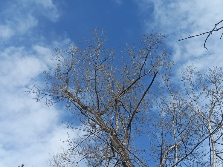 Весна в Хакасии начнется с мороза