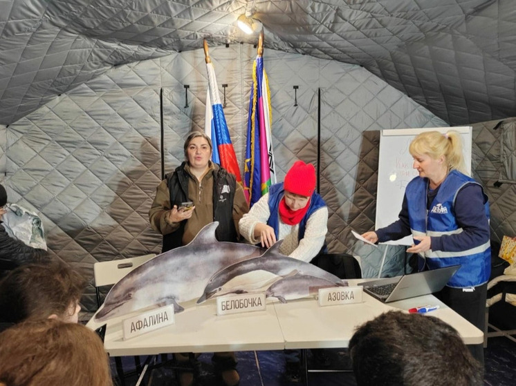 Калужских добровольцев на Черноморском побережье обучили спасению дельфинов