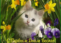 Первое марта — это символ надежды, обновления и новых начинаний, когда многие люди начинают планировать свои весенние дела и радоваться приходу теплого времени года