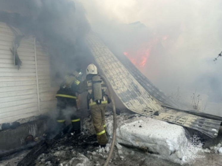 На крупном пожаре в бийском поселке погибло два человека
