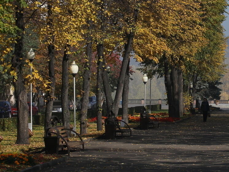 Популярное у кемеровчан место наконец-то получило официальное название