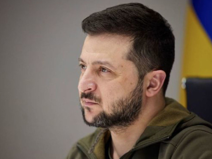 Депутат Госдумы призвал украинские элиты и военных свергнуть Зеленского