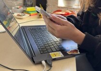 В 2024 году численность индивидуальных предпринимателей в нашем регионе увеличилась на 800 человек