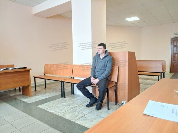Курянина наказали за езду по поддельным правам