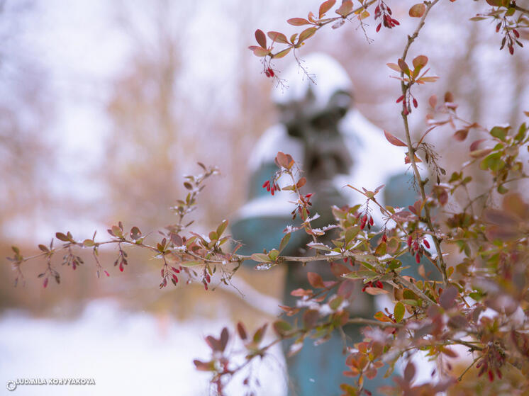 Карельский Гидрометцентр предоставил прогноз погоды на субботу, 1 марта