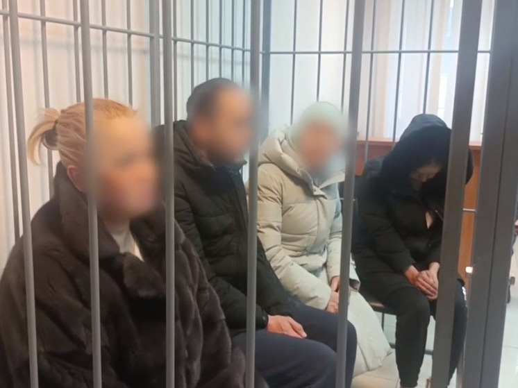 В Щелково арестовали четверых обвиняемых в торговле новорожденным ребенком